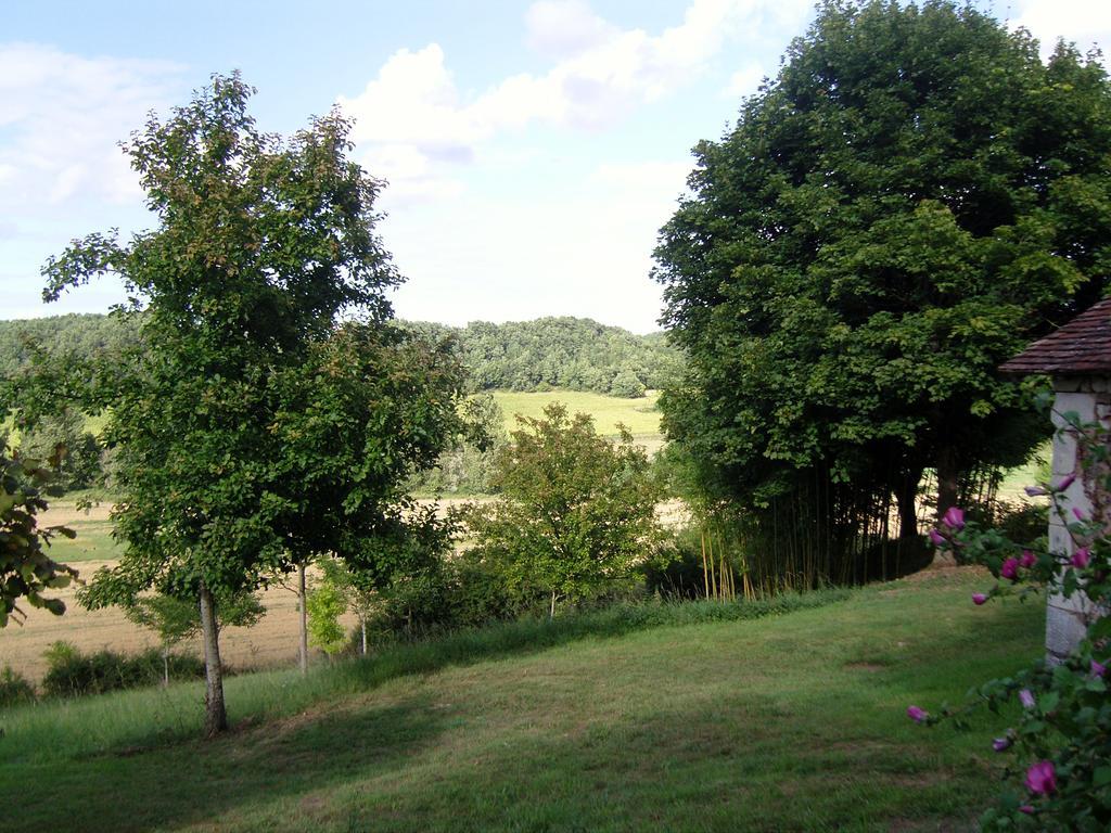 Gite De Serre Le Grand-Pressigny Bilik gambar