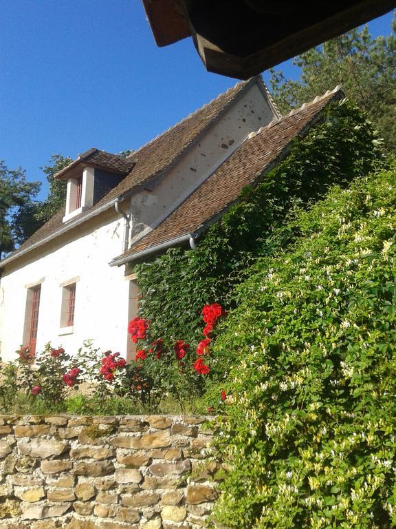 Gite De Serre Le Grand-Pressigny Luaran gambar